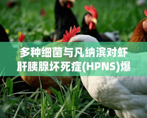 多种细菌与凡纳滨对虾肝胰腺坏死症(HPNS)爆发有关