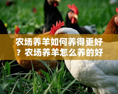 农场养羊如何养得更好？农场养羊怎么养的好呢