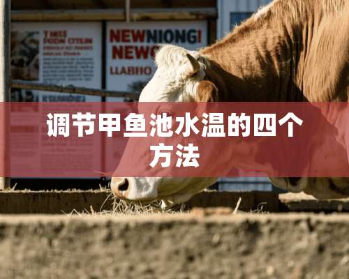 调节甲鱼池水温的四个方法