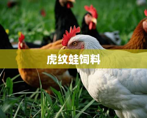 虎纹蛙饲料