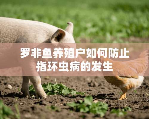 罗非鱼养殖户如何防止指环虫病的发生