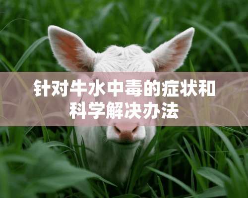 针对牛水中毒的症状和科学解决办法