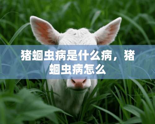 猪蛔虫病是什么病，猪蛔虫病怎么