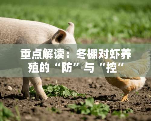 重点解读：冬棚对虾养殖的“防”与“控”