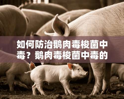 如何防治鹅肉毒梭菌中毒？鹅肉毒梭菌中毒的防治措施