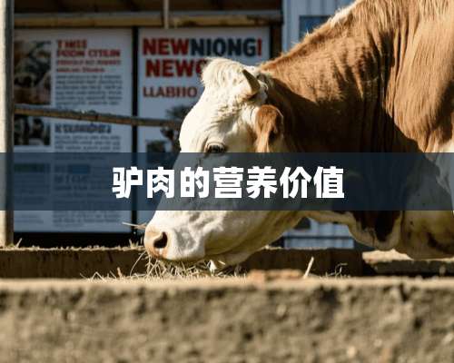 驴肉的营养价值