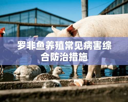 罗非鱼养殖常见病害综合防治措施