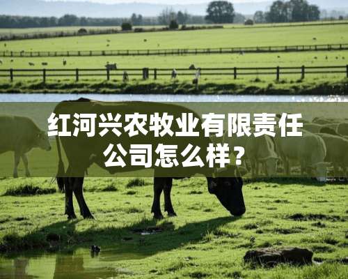 红河兴农牧业有限责任公司怎么样？