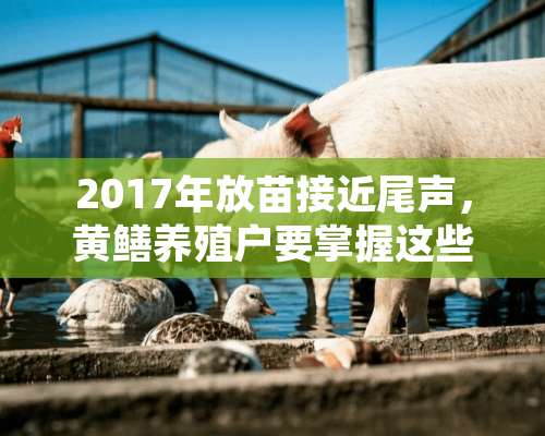 2017年放苗接近尾声，黄鳝养殖户要掌握这些驯食技术要点