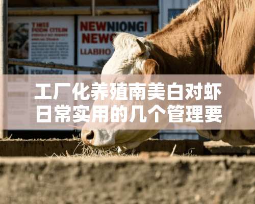 工厂化养殖南美白对虾日常实用的几个管理要点和防病方案