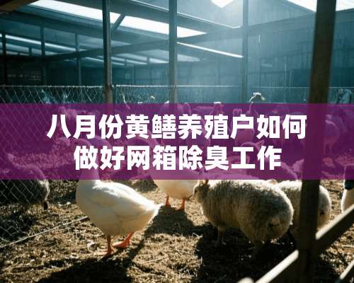 八月份黄鳝养殖户如何做好网箱除臭工作