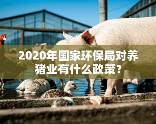 2020年国家环保局对养猪业有什么政策？