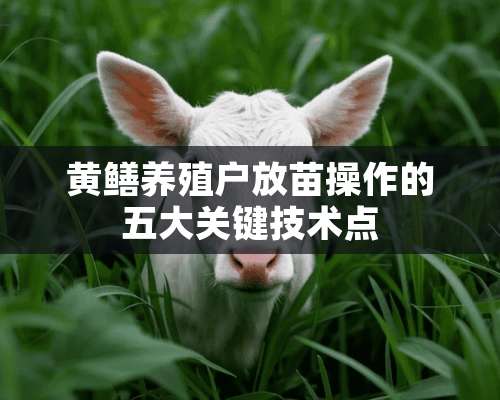 黄鳝养殖户放苗操作的五大关键技术点