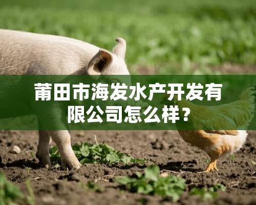 莆田市海发水产开发有限公司怎么样？