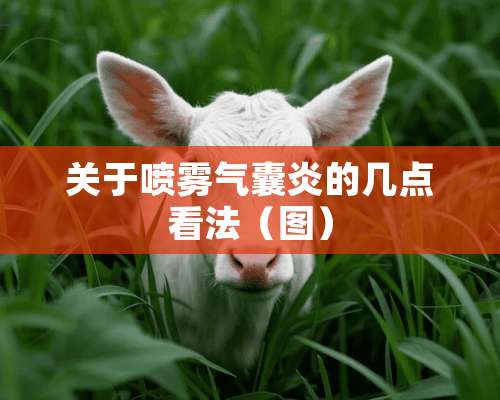 关于喷雾气囊炎的几点看法（图）