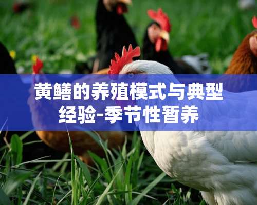 黄鳝的养殖模式与典型经验-季节性暂养