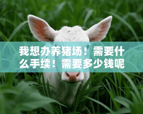 我想办养猪场！需要什么手续！需要多少钱呢！