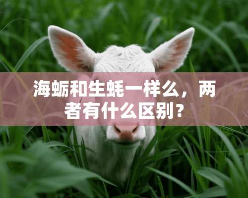 海蛎和生蚝一样么，两者有什么区别？