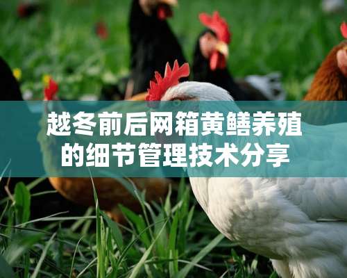 越冬前后网箱黄鳝养殖的细节管理技术分享