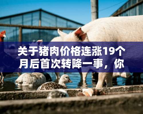 关于猪肉价格连涨19个月后首次转降一事，你有何看法？