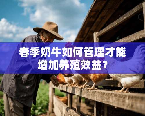 春季奶牛如何管理才能增加养殖效益？