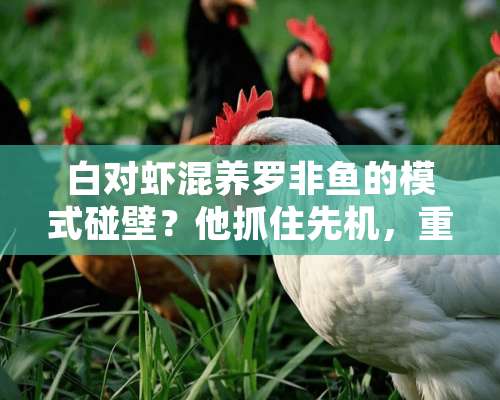 白对虾混养罗非鱼的模式碰壁？他抓住先机，重新搭配了这两条鱼