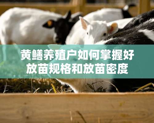 黄鳝养殖户如何掌握好放苗规格和放苗密度