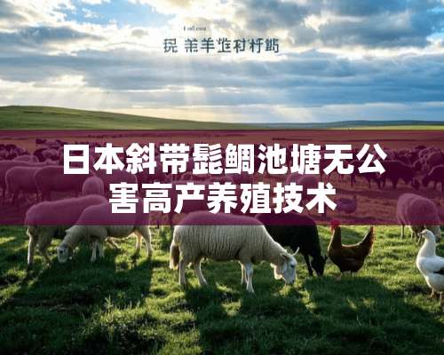 日本斜带髭鲷池塘无公害高产养殖技术