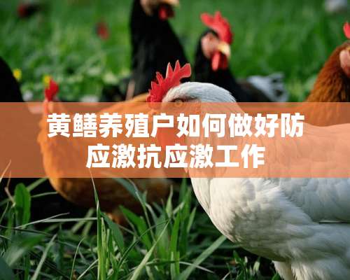 黄鳝养殖户如何做好防应激抗应激工作