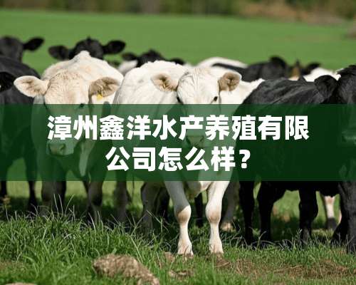 漳州鑫洋水产养殖有限公司怎么样？