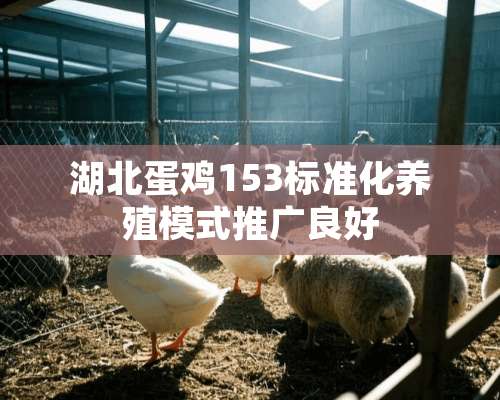 湖北蛋鸡153标准化养殖模式推广良好