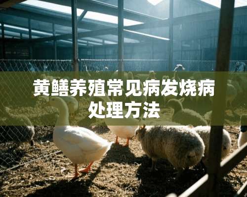 黄鳝养殖常见病发烧病处理方法