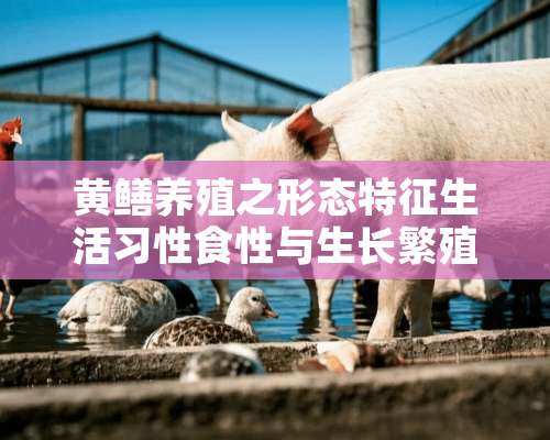 黄鳝养殖之形态特征生活习性食性与生长繁殖习性