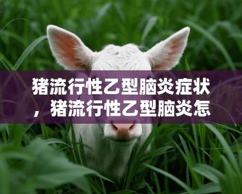 猪流行性乙型脑炎症状，猪流行性乙型脑炎怎么