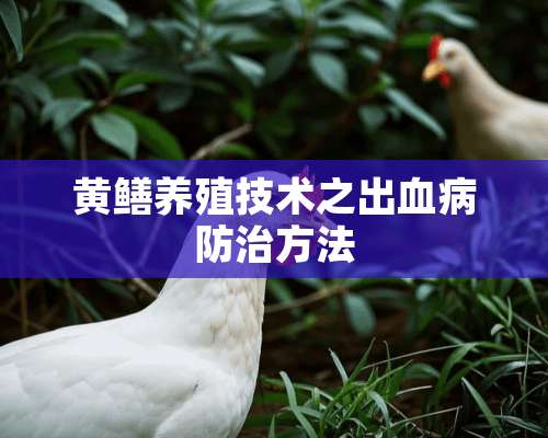 黄鳝养殖技术之出血病防治方法