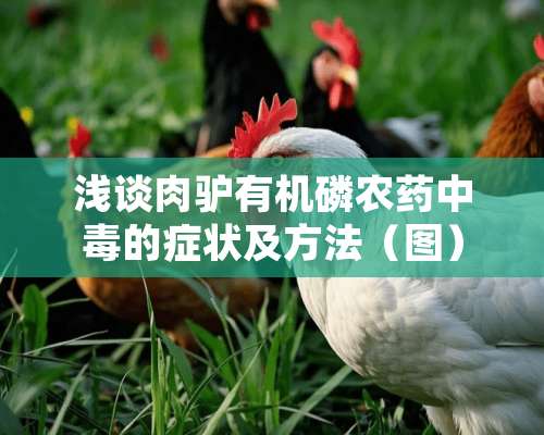 浅谈肉驴有机磷农药中毒的症状及方法（图）