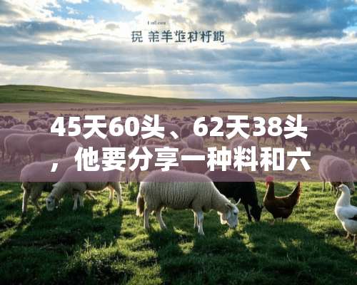 45天60头、62天38头，他要分享一种料和六条心得