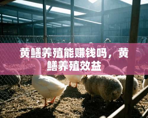 黄鳝养殖能赚钱吗，黄鳝养殖效益