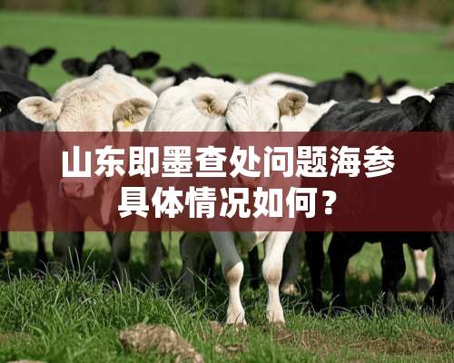 山东即墨查处问题海参具体情况如何？