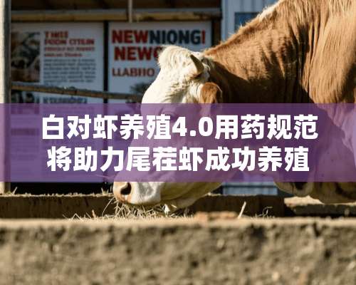 白对虾养殖4.0用药规范将助力尾茬虾成功养殖！