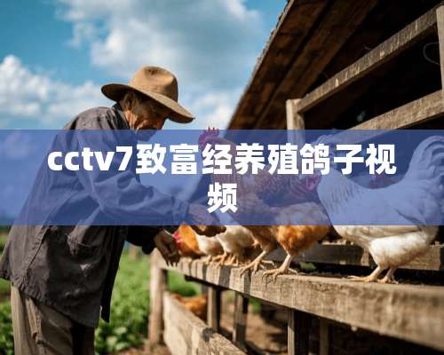 cctv7致富经养殖鸽子视频