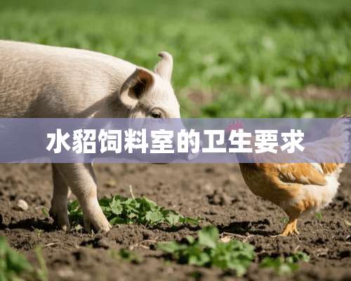 水貂饲料室的卫生要求