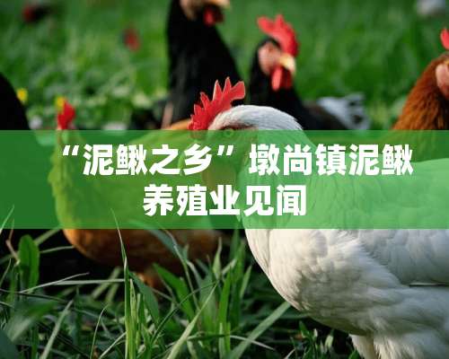 “泥鳅之乡”墩尚镇泥鳅养殖业见闻