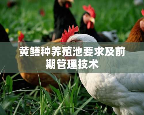 黄鳝种养殖池要求及前期管理技术