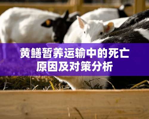 黄鳝暂养运输中的死亡原因及对策分析