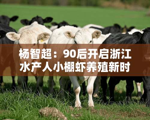 杨智超：90后开启浙江水产人小棚虾养殖新时代