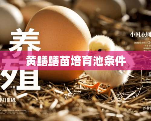 黄鳝鳝苗培育池条件