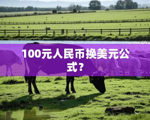 100元人民币换美元公式？