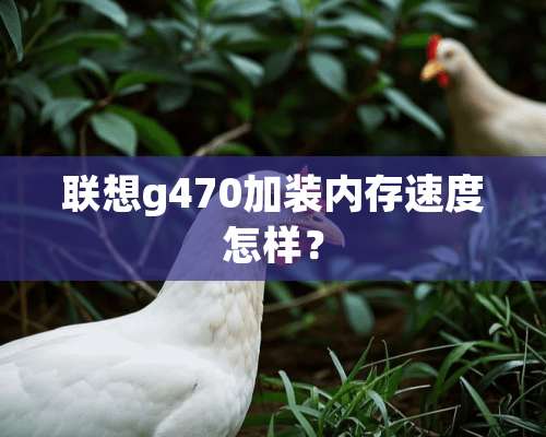 联想g470加装内存速度怎样？