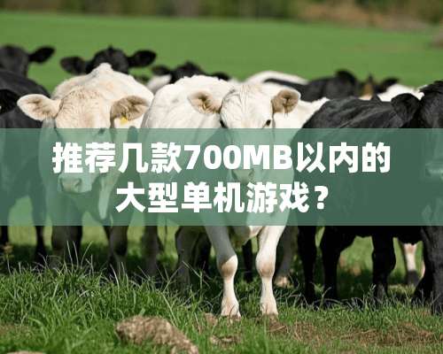 推荐几款700MB以内的大型单机游戏？